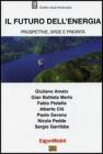 Il futuro dell'energia. Prospettive, sfide e priorit�