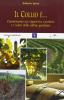 Il Collio �... Camminando nei vigneti tra i profumi e i colori delle colline goriziane