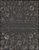 Quadrivium. Numero, geometria, musica, astronomia