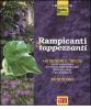 Rampicanti e tappezzanti