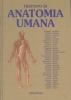 Trattato di anatomia umana vol.3
