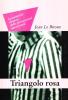 Il triangolo rosa. La memoria rimossa delle persecuzioni omosessuali