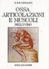 Ossa. Articolazioni e muscoli dell'uomo