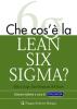 Che cos'� la lean six sigma?