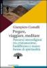 Pregare, viaggiare, meditare. Percorsi interreligiosi tra cristianesimo, buddhismo e nuove forme di spiritualit�