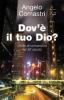 Dov'� il tuo Dio? Storie di conversioni nel XX secolo