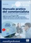 Manuale pratico del commercialista. Per candidati all'esame di Stato e giovani professionisti. Con CD-ROM