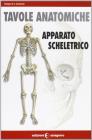 Tavole anatomiche. Apparato scheletrico