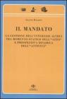 Il mandato. La gestione dell'interesse altrui tra momento statico dell'�atto� e prospettiva dinamica dell'�attivit�