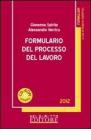 Formulario del processo del lavoro 2012. Con CD-ROM
