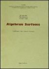 Algebraic surfaces