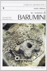Nuraxi di Barumini (Su)