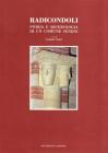 Radicondoli. Storia e archeologia di un comune senese
