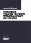 Enti no profit, fondazioni e patrimoni destinati alla scopo non lucrativo