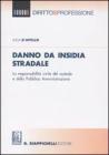 Danno da insidia stradale. La responsabilit� civile del custode e della Pubblica Amministrazione