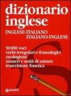 Dizionario inglese. Inglese-italiano, italiano-inglese