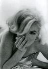 Marilyn. L'ultima seduta
