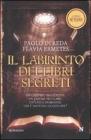 Il labirinto dei libri segreti. E-book