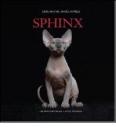 Sphynx