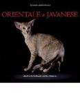 Orientale e javanese