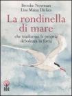 La rondinella di mare che trasform� la propria debolezza in forza