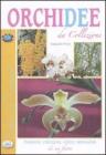 Orchidee da collezione. Passione, emozione, colore, sensualit� di un fiore