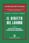 Il diritto del lavoro vol.2