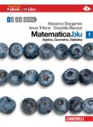 Matematica.Blu. Algebra. Geometria. Statistica. Con espansione online. Per le Scuole superiori vol.1