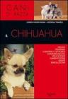 Il chihuahua