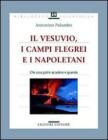 Il Vesuvio, i Campi Flegrei e i napoletani. Che cosa potr� accadere e quando