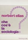 Che cos'� la sociologia?
