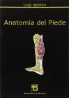 Anatomia del piede