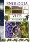 Enologia. Tecniche di coltivazione e potatura. Vite Enologia. Tecniche di coltivazione e potatura. Vite