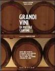 Grandi vini di piccole cantine. E-book