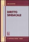 Diritto sindacale. Aggiornato al 30 giugno 2006