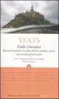 Fiabe irlandesi. E-book