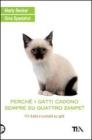Perché i gatti cadono sempre su quattro zampe? 101 dubbi e curiosità sui gatti Perché i gatti cadono sempre su quattro zampe? 101 dubbi e curiosità sui gatti