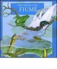 Vita intorno a un fiume
