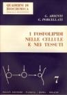 I fosfolipidi nelle cellule e nei tessuti