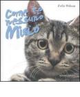 Come te nessuno miao