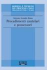 Procedimenti cautelari e possessori