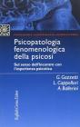 Psicopatologia fenomenologica della psicosi. Sul senso dell'incontro con l'esperienza psicotica