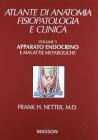 Apparato endocrino Apparato endocrino