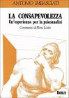 La consapevolezza. Un'esperienza per la psicoanalisi