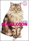 Il gatto Maine Coon