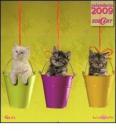 Gatti. Calendario 2009