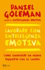 Lavorare con intelligenza emotiva. E-book