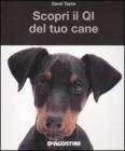 Scopri il QI del tuo cane Scopri il QI del tuo cane