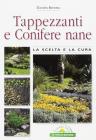 Tappezzanti e conifere nane