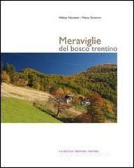 Meraviglie del bosco trentino